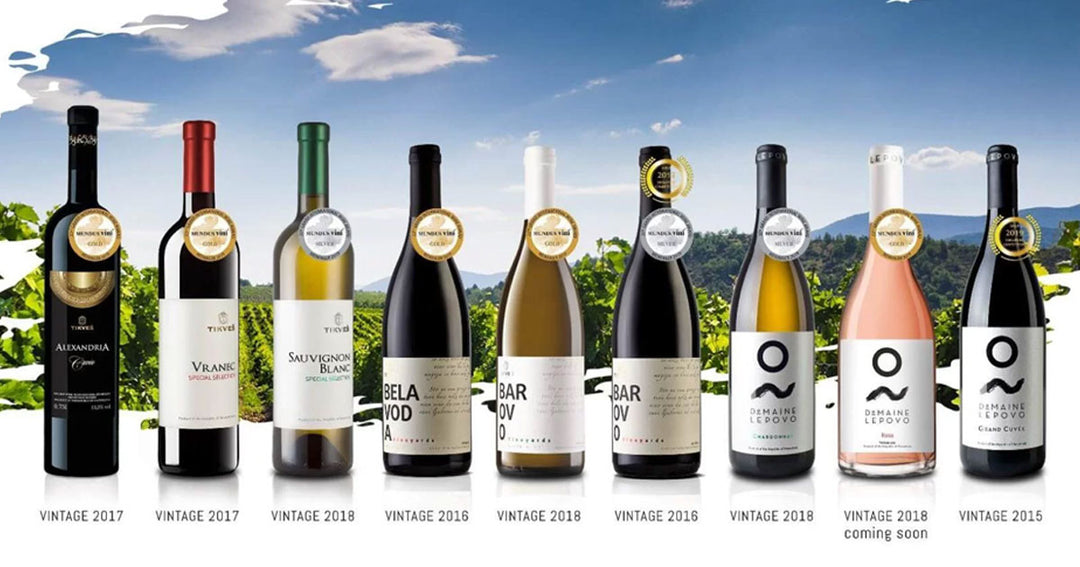 Why Tikves Wines Are a Must-Try for Wine Enthusiasts