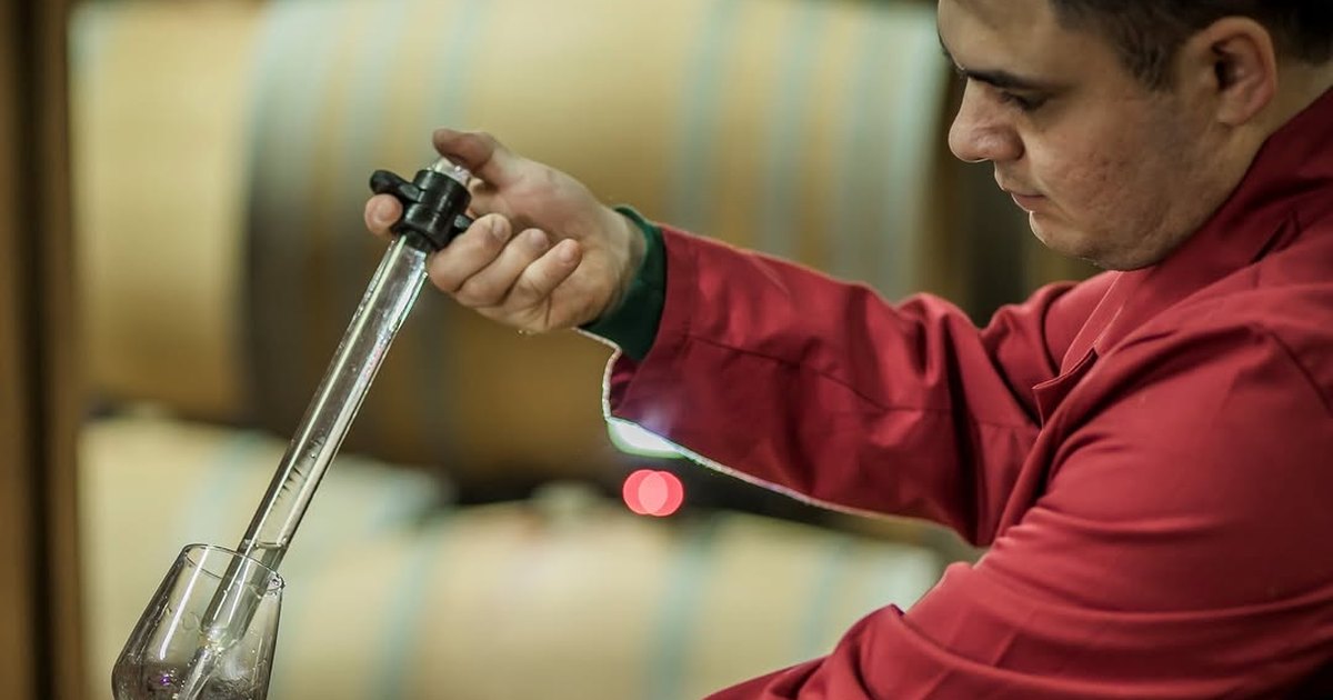 A Tikveš cellar worker in a red jacket drawing wine from an oak barrel into a tasting glass.